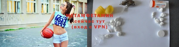 гидра Белокуриха