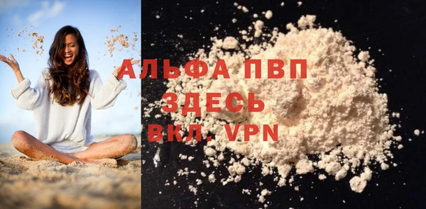 гидра Белокуриха