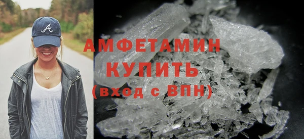 гидра Белокуриха